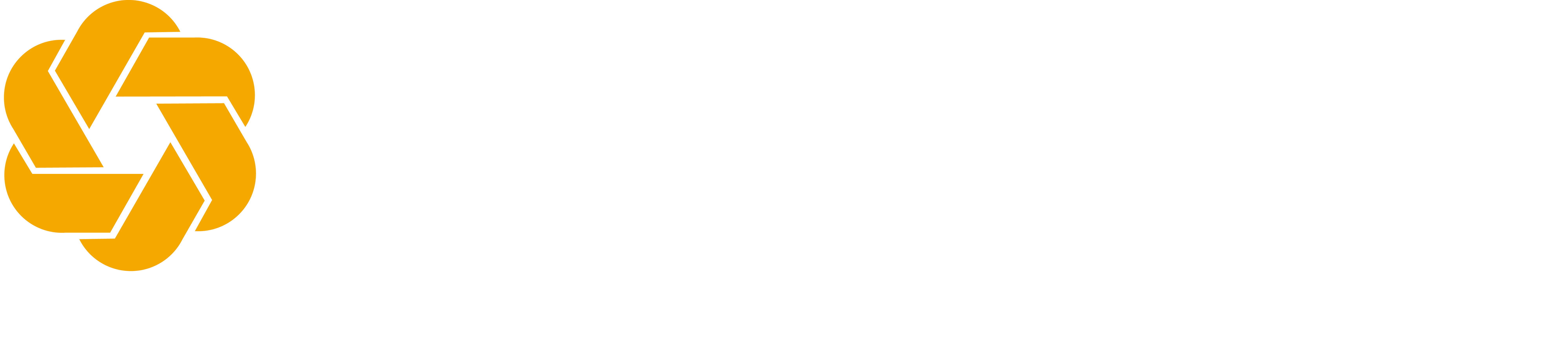 SECURA Insurance logo, white