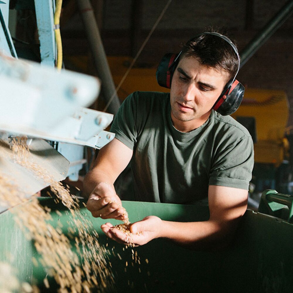 seed merchant inspecting grain coming through seperator
