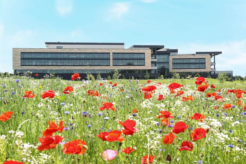 secura flower with the home office in the background