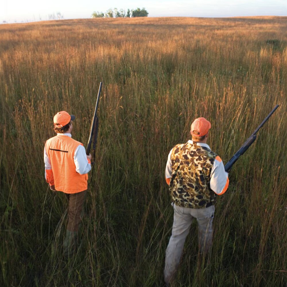 two upland bird hunters walking a field