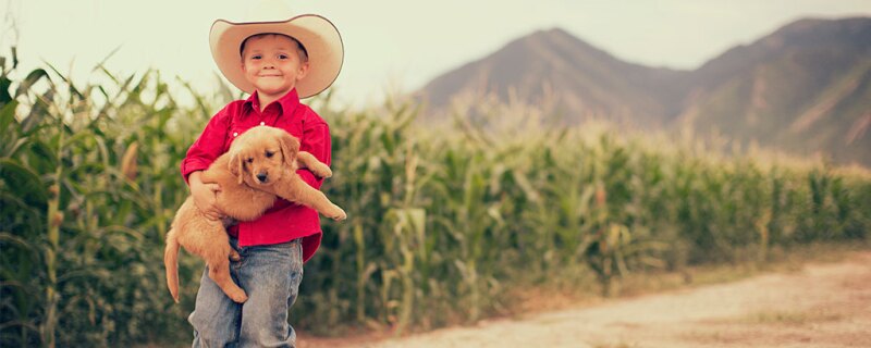 Farm kid holding a puppy.