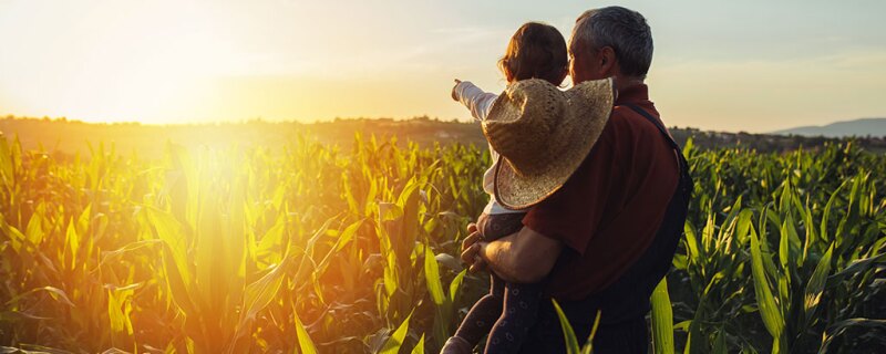 A man holding a child standing in a corn field with the child pointing at the sunset. 