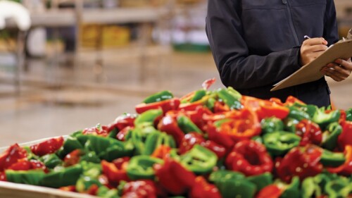 Red and green peppers in a bin.