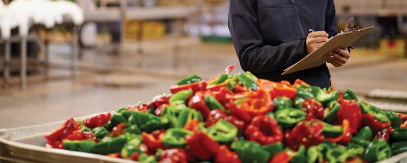 Red and green peppers in a bin. 