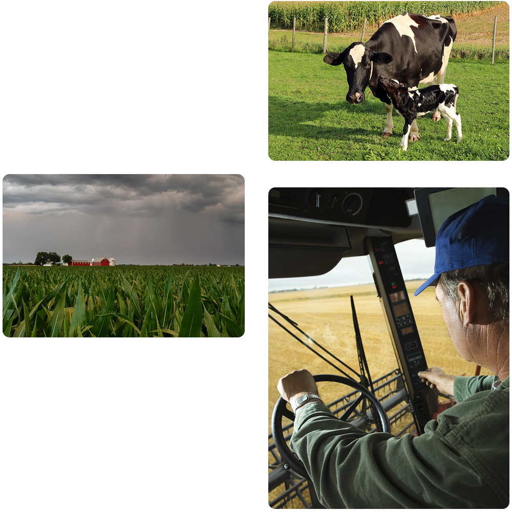 farm-umbrella-insurance-collage.png