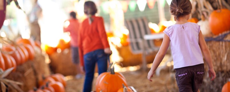 kids at the pumpkin patch. 